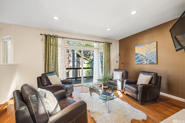 living room featuring hardwood / wood-style floors