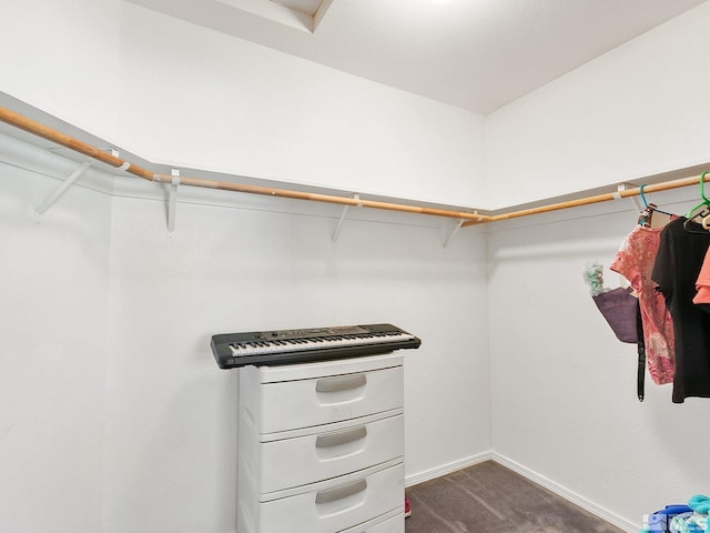 spacious closet featuring dark colored carpet