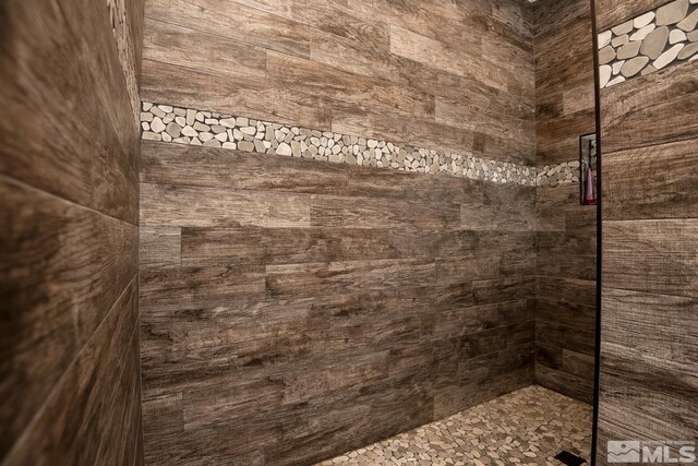 interior details with tiled shower