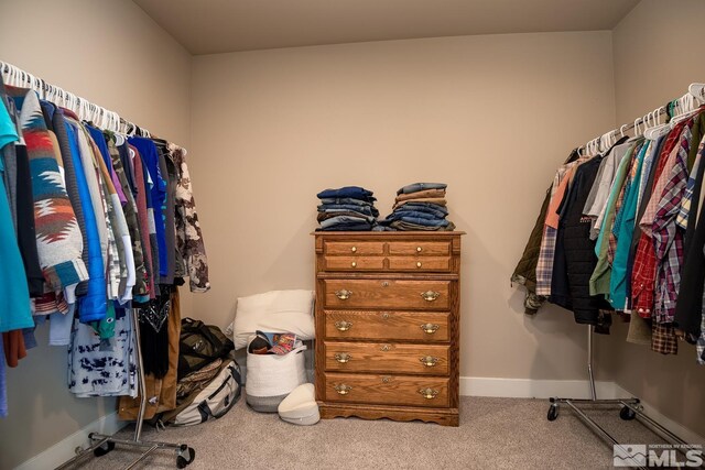 walk in closet featuring carpet