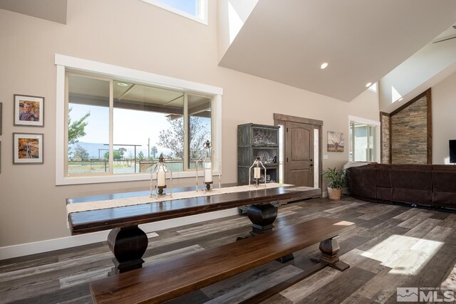 dining room featuring high vaulted ceiling and dark wood-type flooring