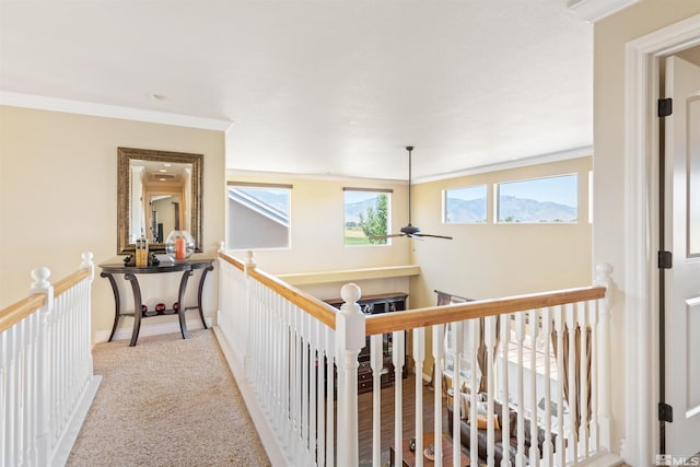 hall with light carpet and crown molding