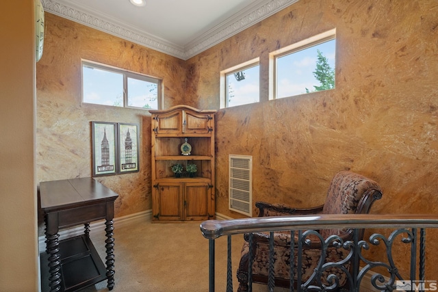 office space with carpet floors and crown molding