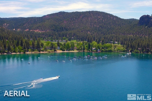 property view of water featuring a mountain view