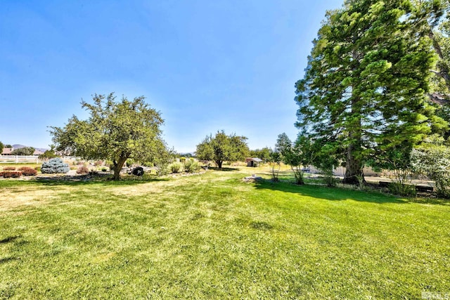 view of yard with a rural view