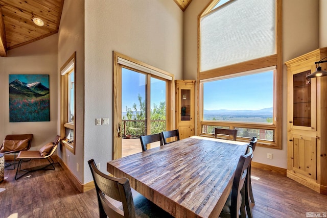 dining area with a mountain view, high vaulted ceiling, and dark hardwood / wood-style flooring