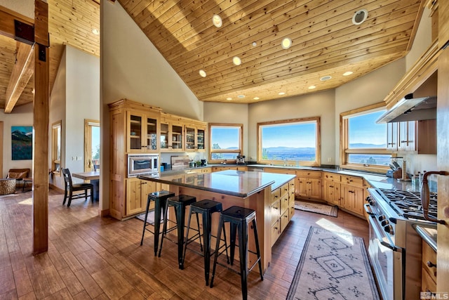 kitchen featuring wood ceiling, appliances with stainless steel finishes, a center island, and a breakfast bar area