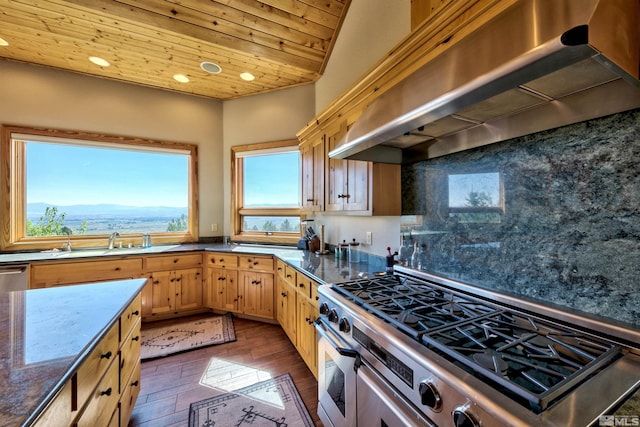 kitchen featuring wall chimney exhaust hood, stainless steel gas range, wooden ceiling, dark hardwood / wood-style floors, and a mountain view