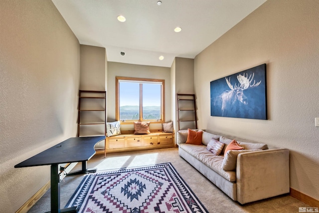 living room featuring carpet floors