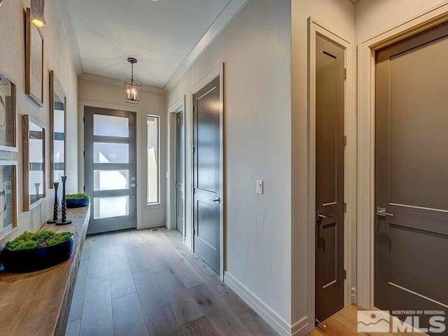 foyer with crown molding and hardwood / wood-style flooring