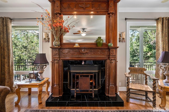 living area featuring crown molding and dark hardwood / wood-style floors