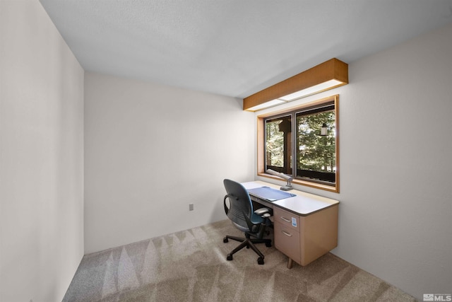 office featuring carpet