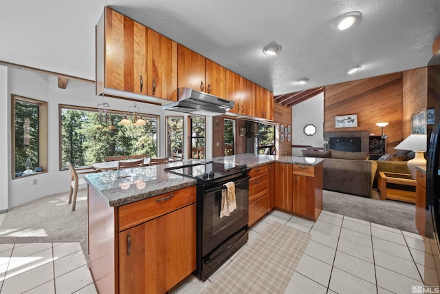 kitchen with stone counters, black range with electric cooktop, wooden walls, light colored carpet, and vaulted ceiling