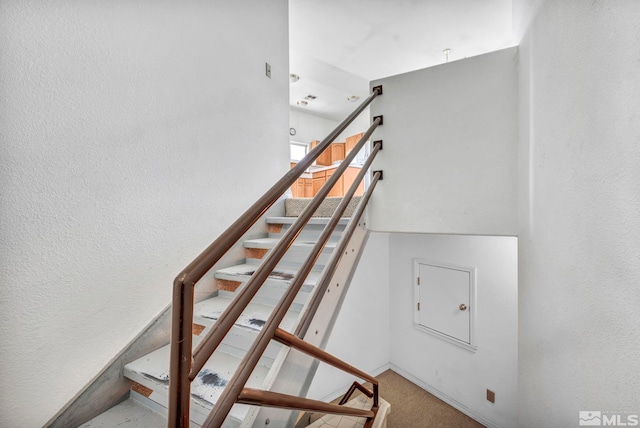 stairs featuring carpet flooring