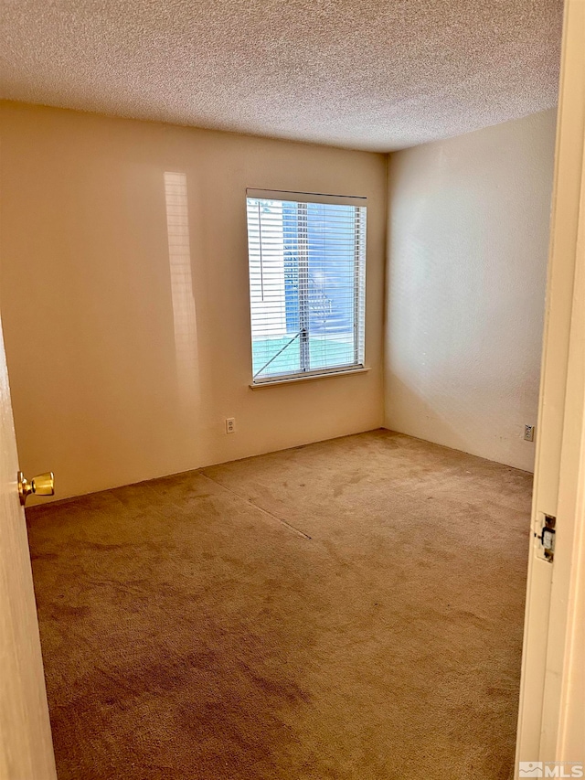 empty room featuring carpet flooring and a textured ceiling