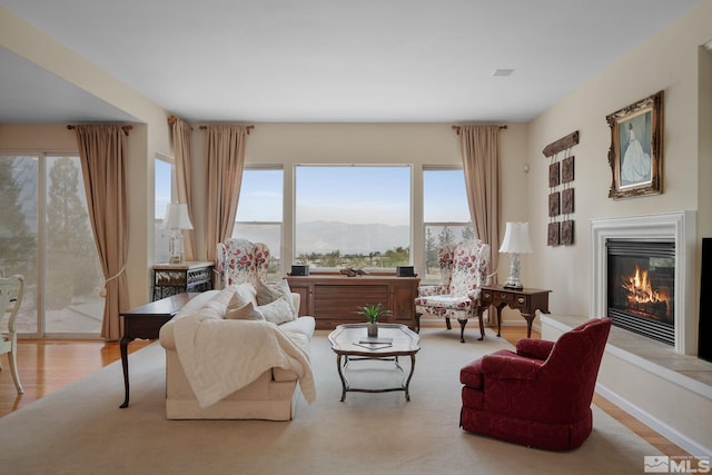 living room with light wood-type flooring and a mountain view