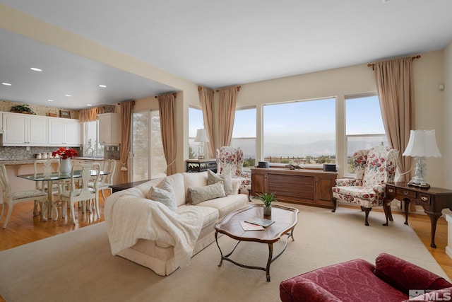 living room featuring light hardwood / wood-style flooring, a wealth of natural light, and sink