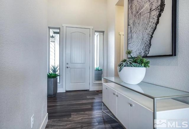 entryway with dark hardwood / wood-style floors