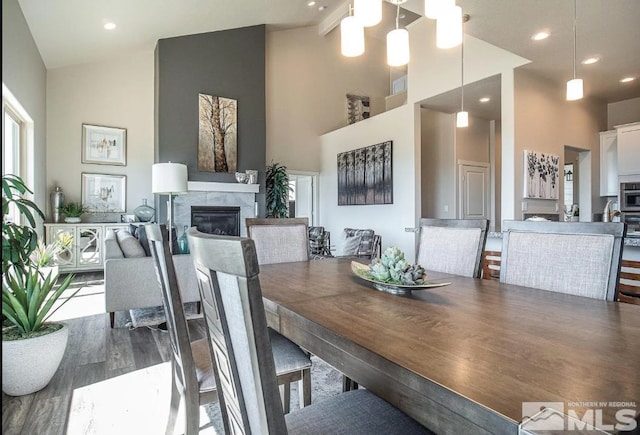 dining room featuring high vaulted ceiling and hardwood / wood-style flooring