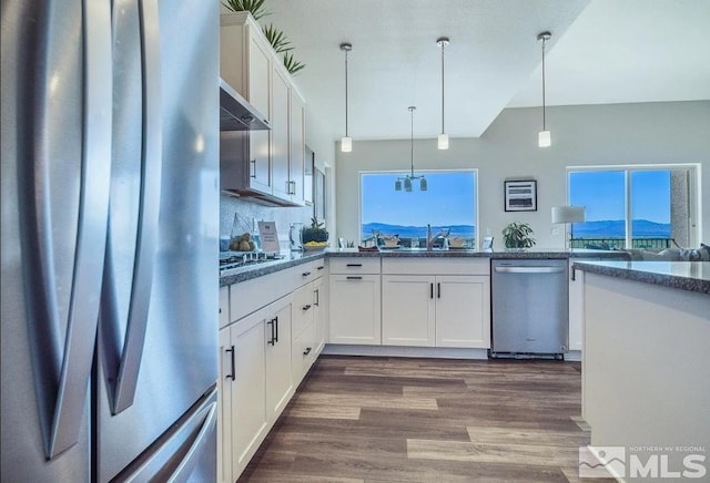 kitchen with under cabinet range hood, stainless steel appliances, a sink, dark wood-style floors, and decorative light fixtures