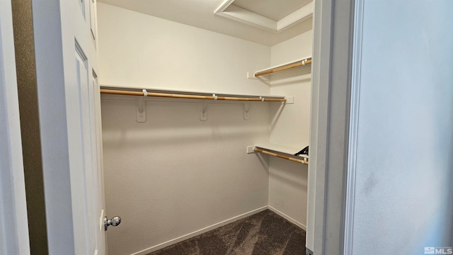 walk in closet with dark colored carpet