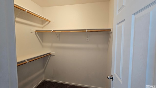 spacious closet with carpet flooring