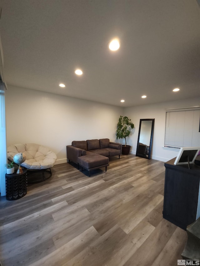 living room with hardwood / wood-style floors