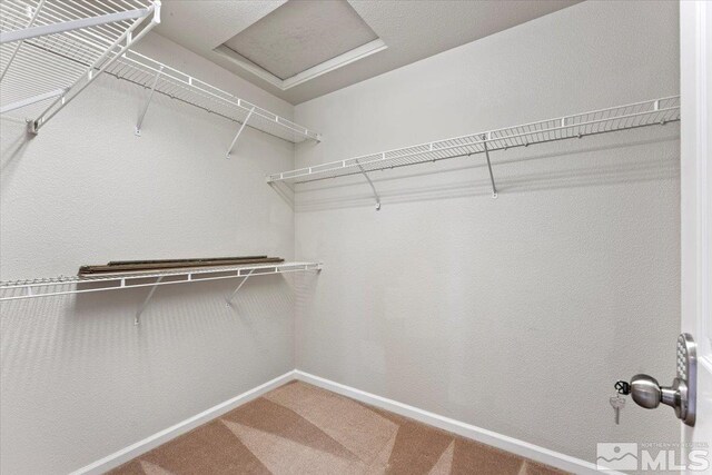 walk in closet featuring carpet