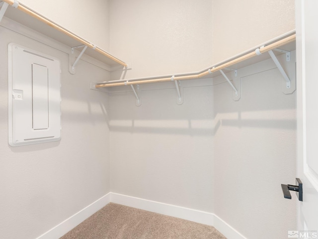 spacious closet featuring carpet floors