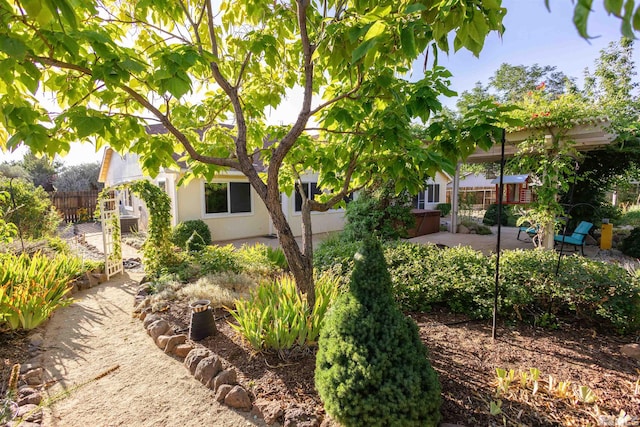 view of yard featuring a patio