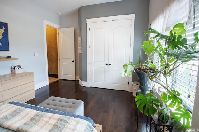 bedroom featuring a closet and dark wood-type flooring