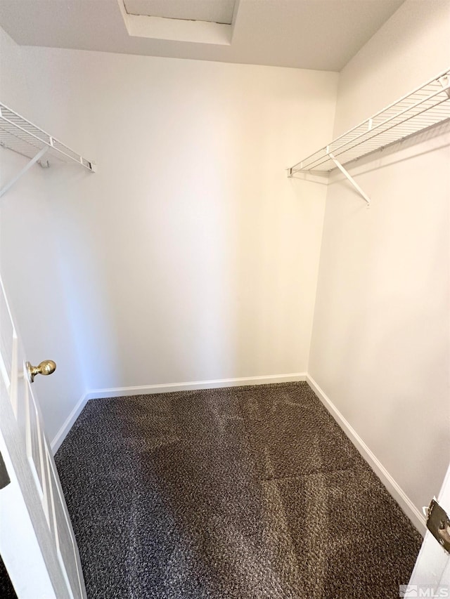 spacious closet featuring carpet flooring