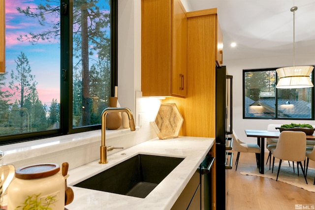 kitchen featuring light wood-style floors, a wealth of natural light, pendant lighting, and a sink