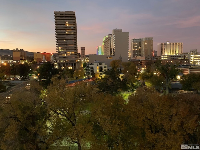 property's view of city