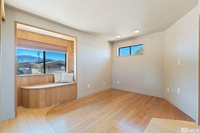 empty room with a healthy amount of sunlight, a mountain view, light wood-style flooring, and a textured ceiling