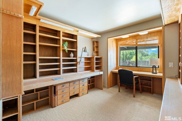 home office featuring light colored carpet and built in desk