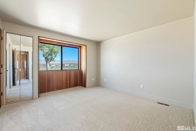 interior space with a closet and light colored carpet