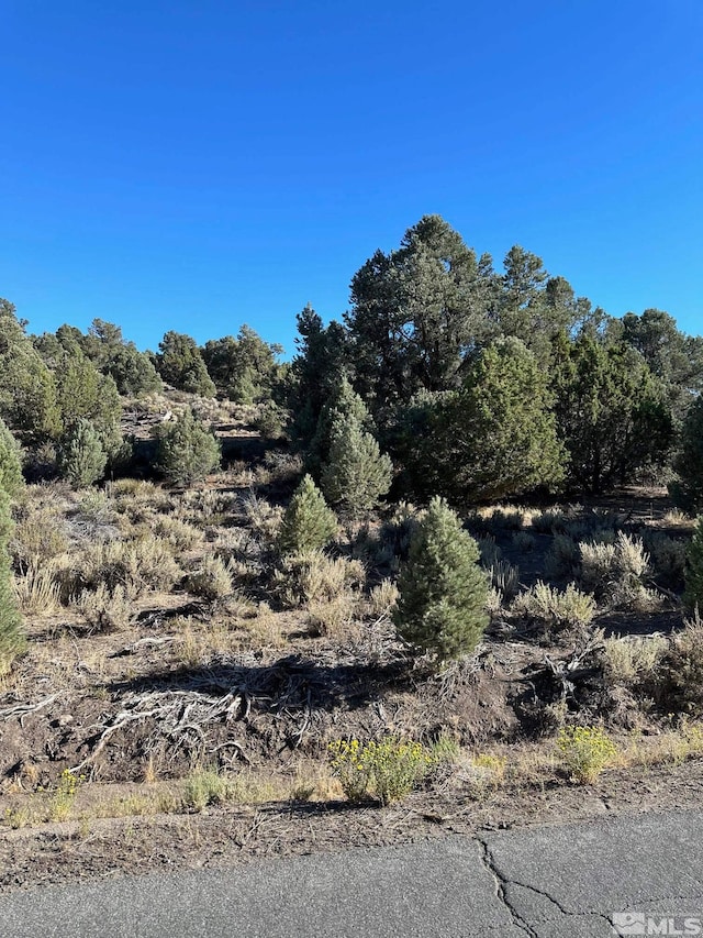 2531 Cartwright Rd, Reno NV, 89521 land for sale