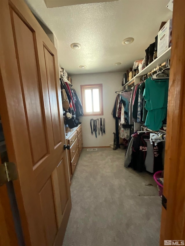 spacious closet with light carpet