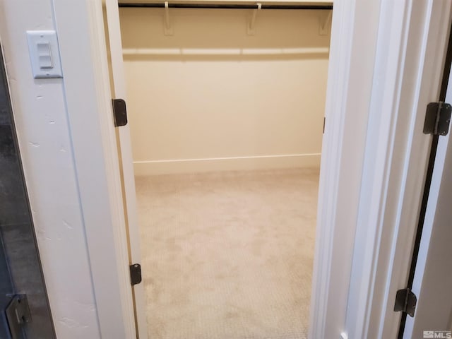 walk in closet featuring carpet flooring