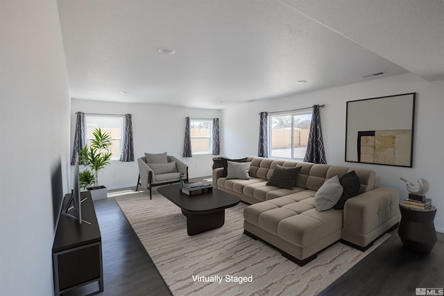 living room with wood-type flooring