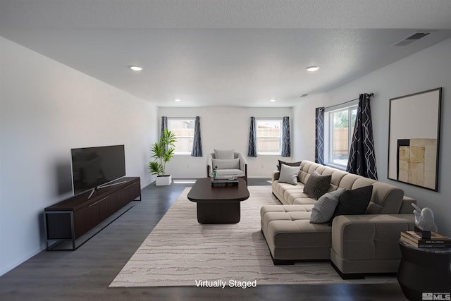 living room featuring dark wood-type flooring