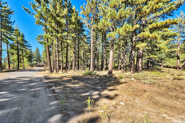 0 Mountain Haven Ln, Reno NV, 89511 land for sale