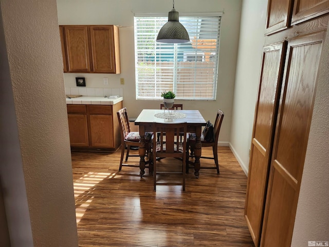 dining room featuring dark hardwood / wood-style flooring