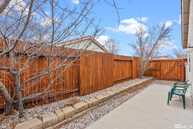 view of home's exterior featuring a patio area and a fenced backyard