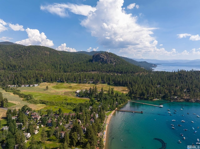 bird's eye view with a water and mountain view