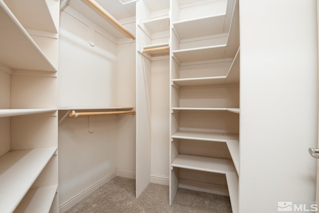 spacious closet featuring light colored carpet