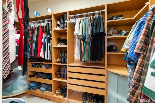 spacious closet with light colored carpet