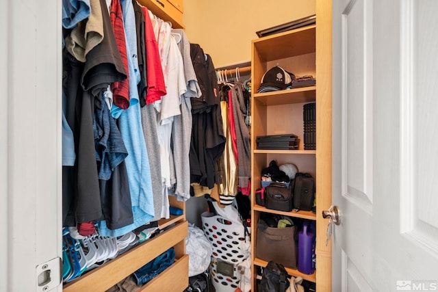 view of spacious closet