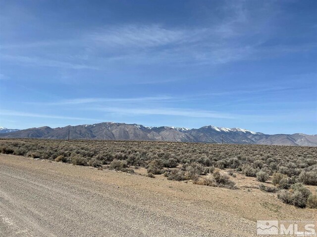 Listing photo 2 for 75 Joshua Ct, Smith NV 89430